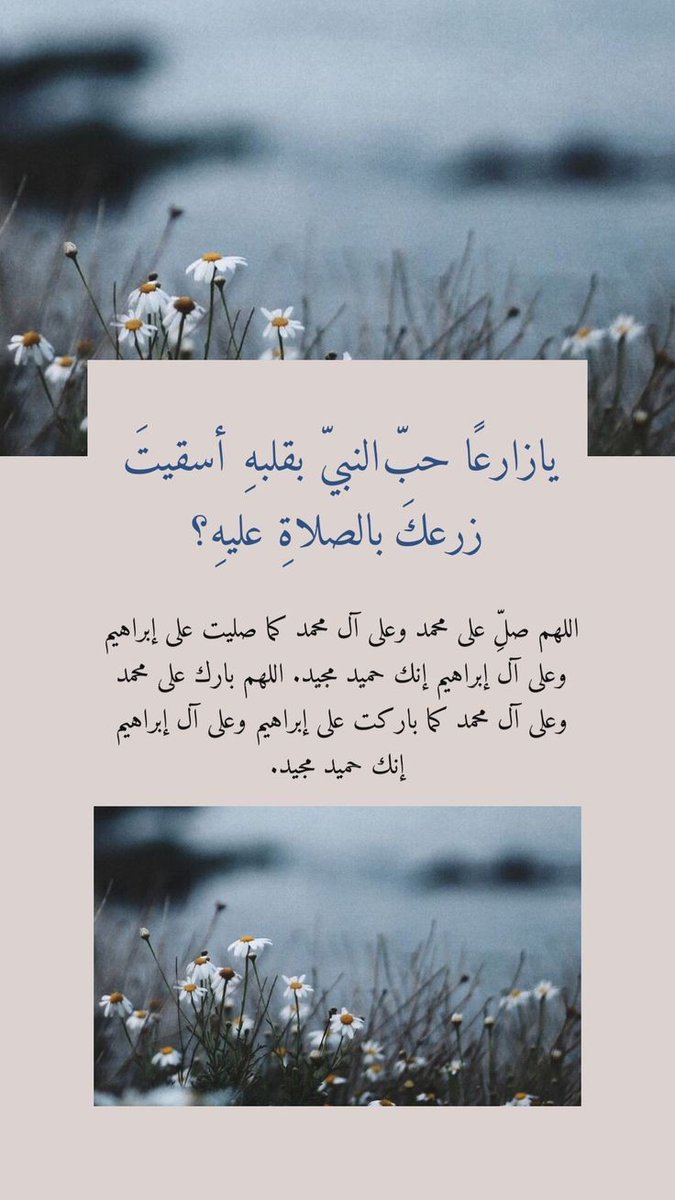 Najlaasaud_ tweet picture