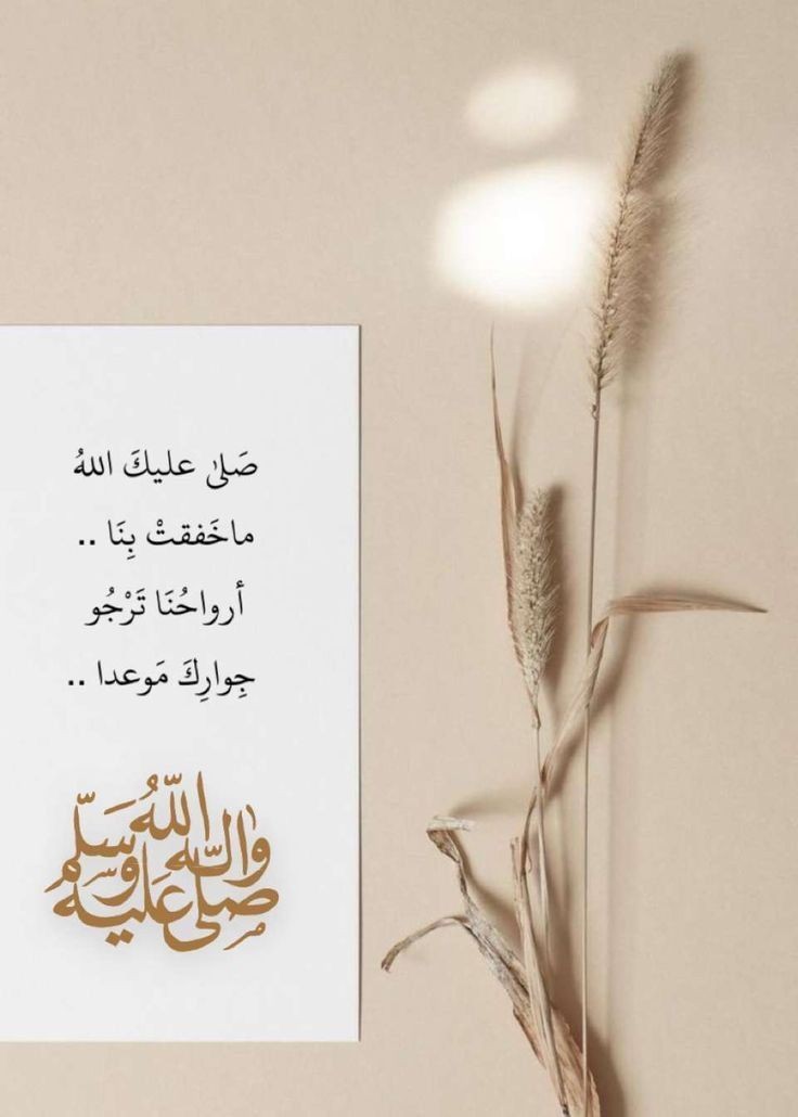 Najlaasaud_ tweet picture