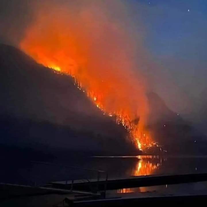 KerryLynne Findlay on Twitter 