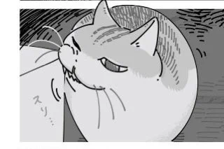 @kyuryuZ 失礼します。
お口が「くっ」てなるのすごいわかる。うちの猫も「くっ」てなります。
というか、リアルで忠実に再現されててすごいと思いました。 