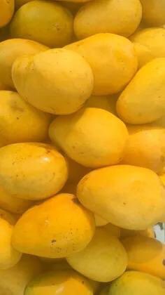Heavenly Zardalu Mango from FPO farmers in Baghalpur, Bihar. 
Now online at 

mystore.in/en/seller/zard…

Order NOW, while stocks last- flavourful, juicy and the real King 👑 among fruits!

#SFAC #SFACIndia @AgriGoI @nstomar @ShobhaBJP @KailashBaytu @ONDC_Official