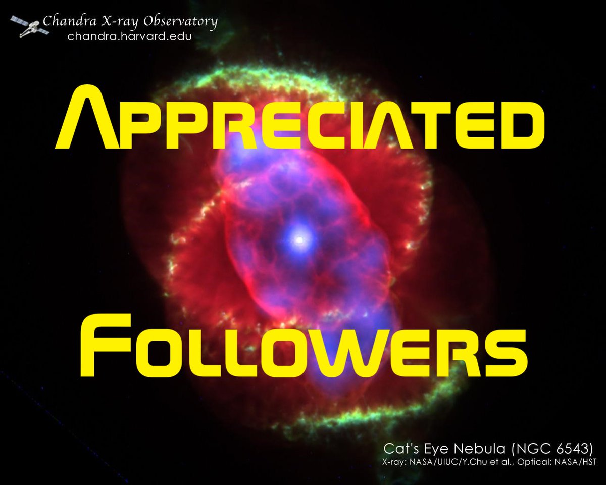 Here are some Appreciated Followers #FF @KayDesigner @ibstreit @lakazel @NoahKarl1 @bobmac27 @Swetilein1 @ScienceShare1 @cradlefish @Jojones2762 @PaulTomBlog Have a great week!