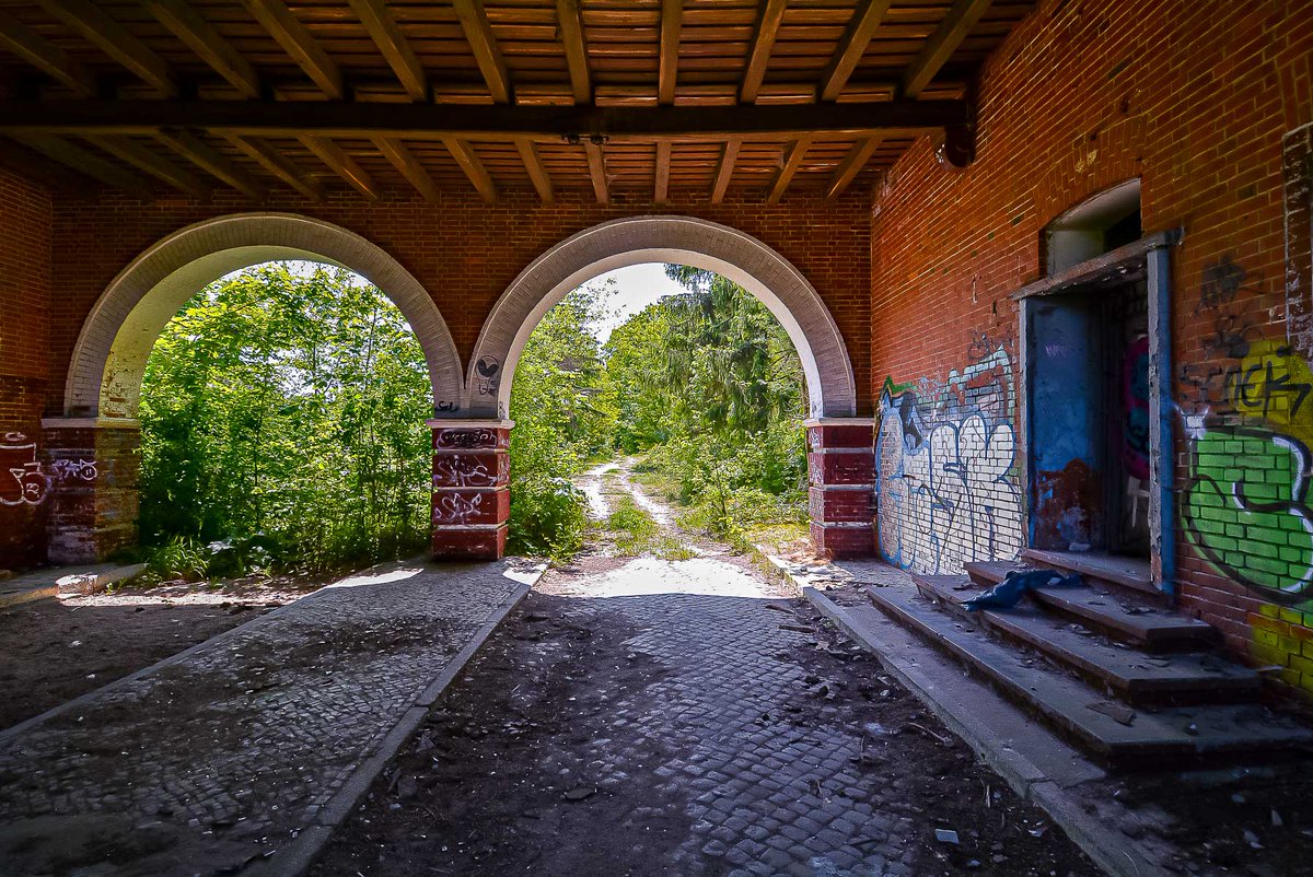 Digital Cosmonaut tweet media