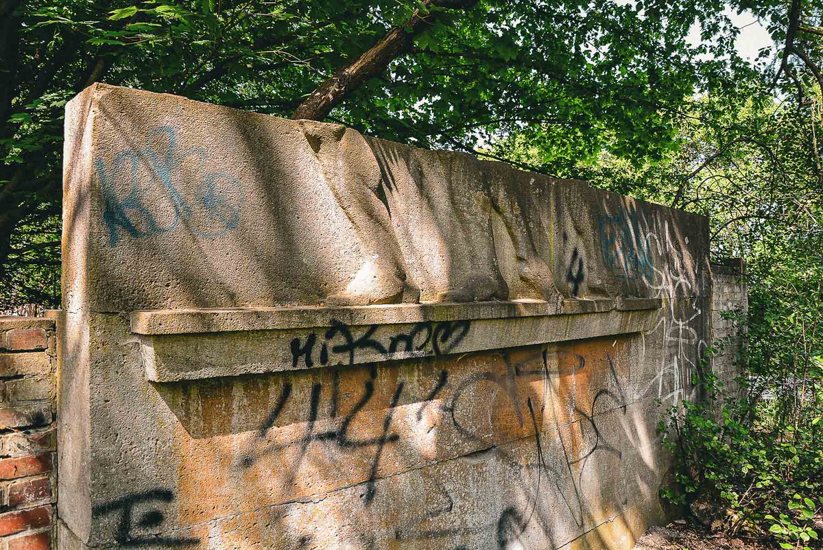 Digital Cosmonaut tweet media