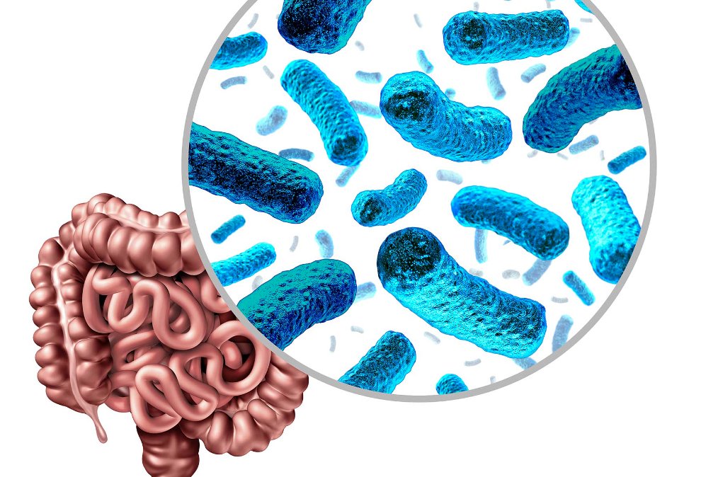 Learn with #Phenomics

#Gut microbiota plays essential role in general health, but how to study them systemically?
Check out our #protocol that describes steps from sample collection, DNA extraction to library construction:
link.springer.com/article/10.100…

Image: gutmicrobiotaforhealth.com/four-science-b…
