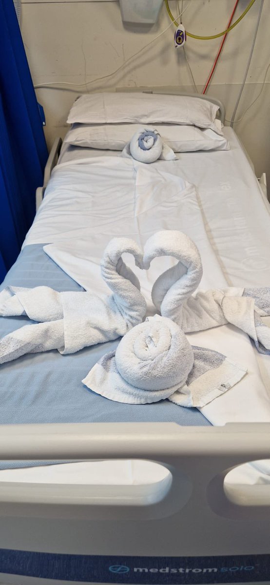 We’ll try anything to make our patients smile.. even a bit of towel origami 🫶🏼🦢🌹 #fun #creative All credit to @KateGarrawayXX & Holly from @11_lri