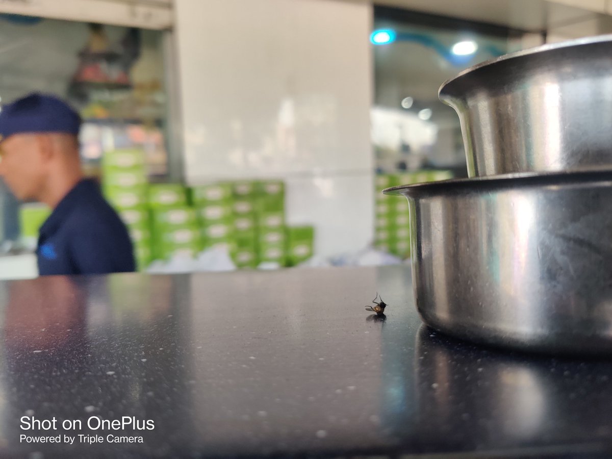 Petchimuthu (@petchimuthu_p) on Twitter photo Chrompet A2B housefly enjoy the near by coffee glass. <a href="/A2BRestaurant/">Adyar Ananda Bhavan</a>
#chrompet #a2b #housefly Chrompet A2B housefly enjoy the near by coffee glass. <a href="/A2BRestaurant/">Adyar Ananda Bhavan</a>
#chrompet #a2b #housefly