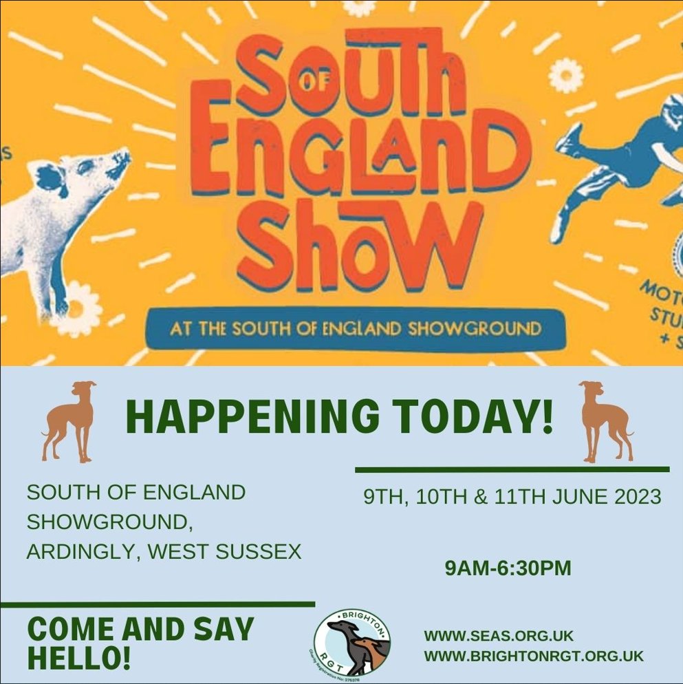 Happening Today! 🌞

The South of England Show.

9am – 6.30pm
South of England Showground, Ardingly, West Sussex

For more information on travel visit:
seas.org.uk/south-of-engla…

#SayHello #GreyhoundRehome #CommunityEvents #HappeningToday #SouthofEnglandShow #OutdoorFun