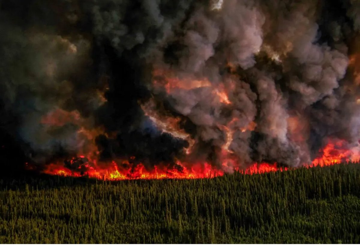 The fires in Quebec are raging in tree plantations that get counted as carbon offsets. To the millions being evacuated or choking on the toxic smoke: anything you do against those responsible for greenwashing is legitimate self-defense.