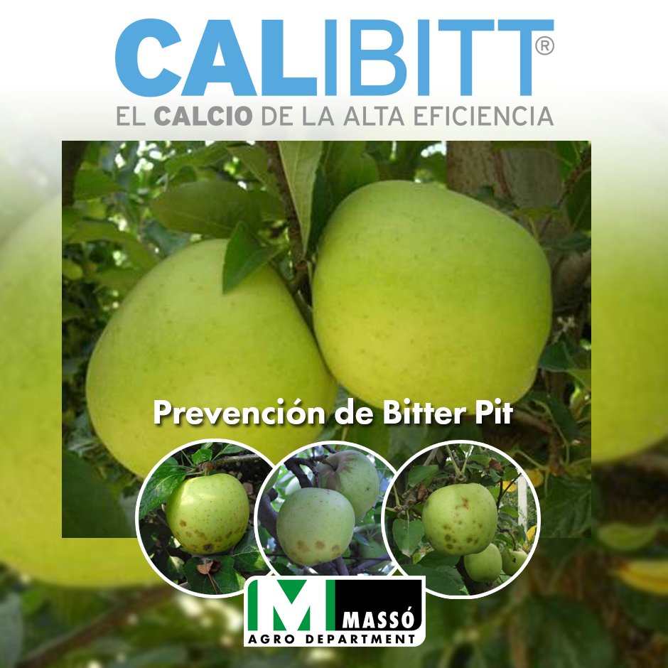 massoagro's tweet photo. ¿Sabes qué es el #bitterpit y cómo evitarlo?
👉🏻 Se trata de una alteración fisiológica de las #manzanas🍏 que se manifiesta durante la conservación.
🟢 Para prevenirlo aplica regularmente hasta #cosecha🌳 el #calcio de alta eficiencia, CALIBITT.
🎥 https://t.co/vs6dJNrX8t https://t.co/qH7llQwZSd