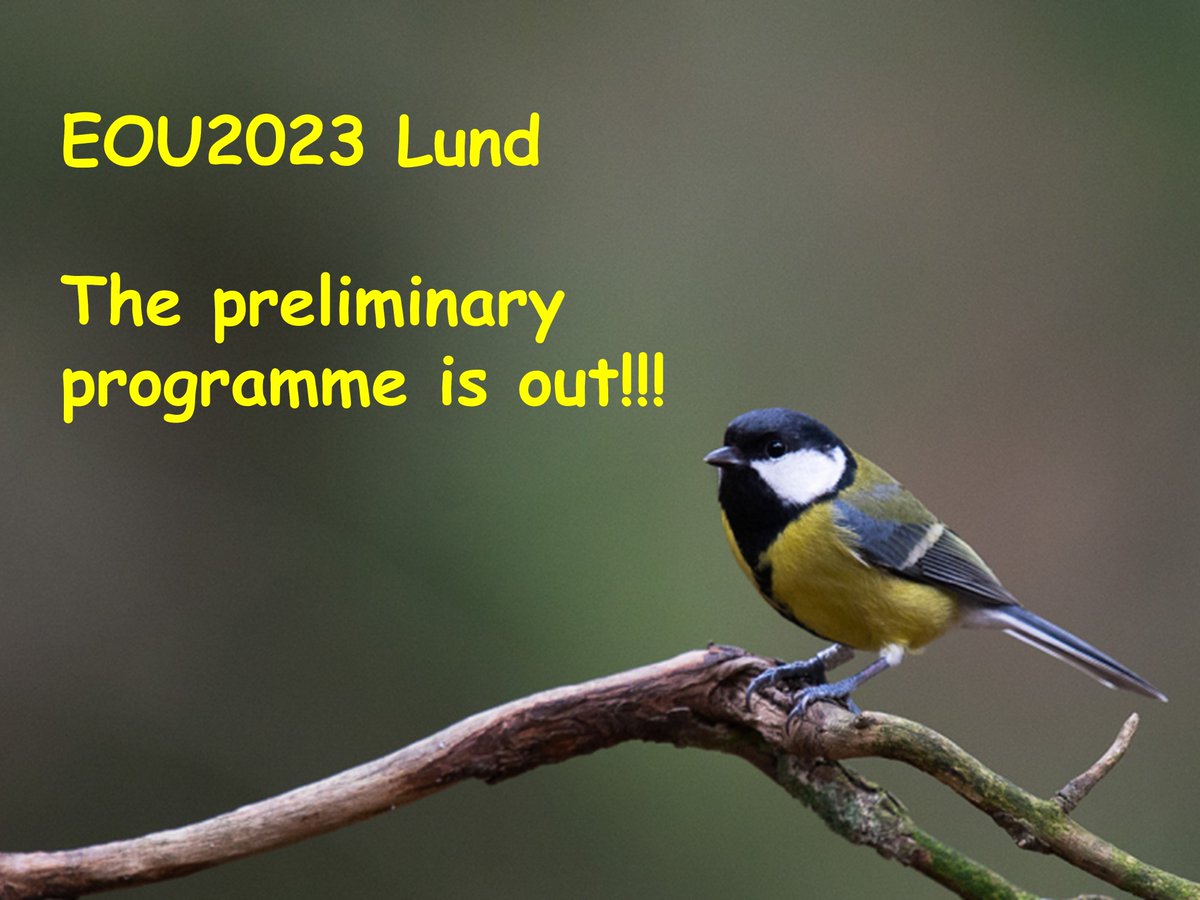EOU Conference, Lund, August 2023 - the preliminary programme is now available on the conference website cutt.ly/rwemMfqC #EOU2023 #ornithology