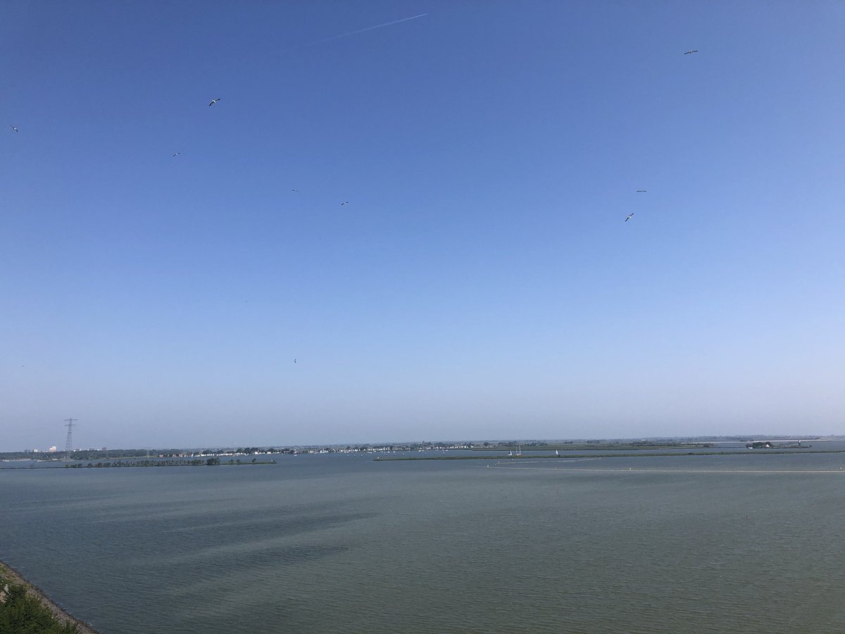 Stress in Action tweet media