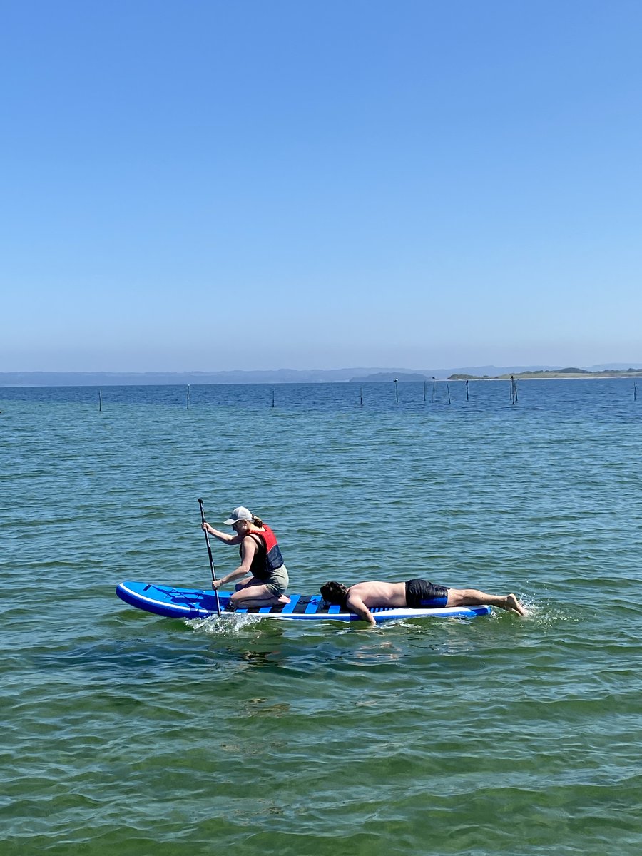 Lars Grøntved (@grontved_group) on Twitter photo ☀️ Outstanding summer social yesterday at a small island 1h drive from the lab 🌊 - building foundation for future science 🧬🔬
<a href="/GenomicsUnit/">Functional Genomics & Metabolism Research Unit</a> <a href="/ATLAS_SDU/">ATLAS</a> <a href="/bmbSDU/">Department of Biochemistry and Molecular Biology</a> <a href="/NATsdu/">SDU Science</a> #Helnæs <a href="/MajkenSiers/">Majken Storm Siersbæk</a> ☀️ Outstanding summer social yesterday at a small island 1h drive from the lab 🌊 - building foundation for future science 🧬🔬
<a href="/GenomicsUnit/">Functional Genomics & Metabolism Research Unit</a> <a href="/ATLAS_SDU/">ATLAS</a> <a href="/bmbSDU/">Department of Biochemistry and Molecular Biology</a> <a href="/NATsdu/">SDU Science</a> #Helnæs <a href="/MajkenSiers/">Majken Storm Siersbæk</a>