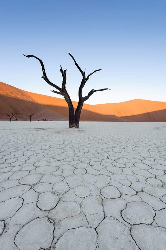 Deadvlei, Namibia 🇳🇦