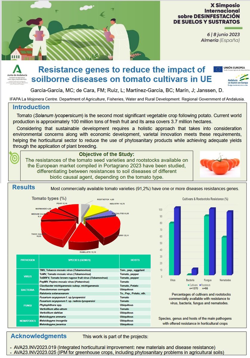 #Resistencia a patógenos transmitidos via el #suelo como principal herramienta para control de enfermedades en #tomate. Un estudio sobre mas de 1300 variedades, presentado en #SD2023.