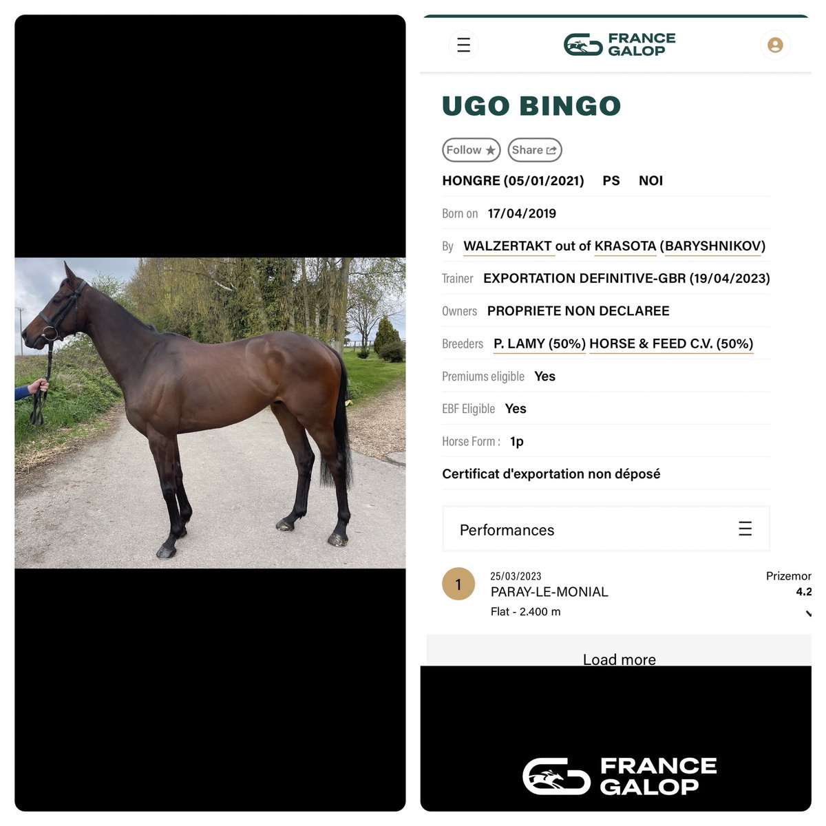 ⭐️⭐️⭐️ FOR SALE⭐️⭐️⭐️ 
UGO BINGO won his bumper in France & the 2nd Horse has since won.
Open to full or shared ownership please message for more info.