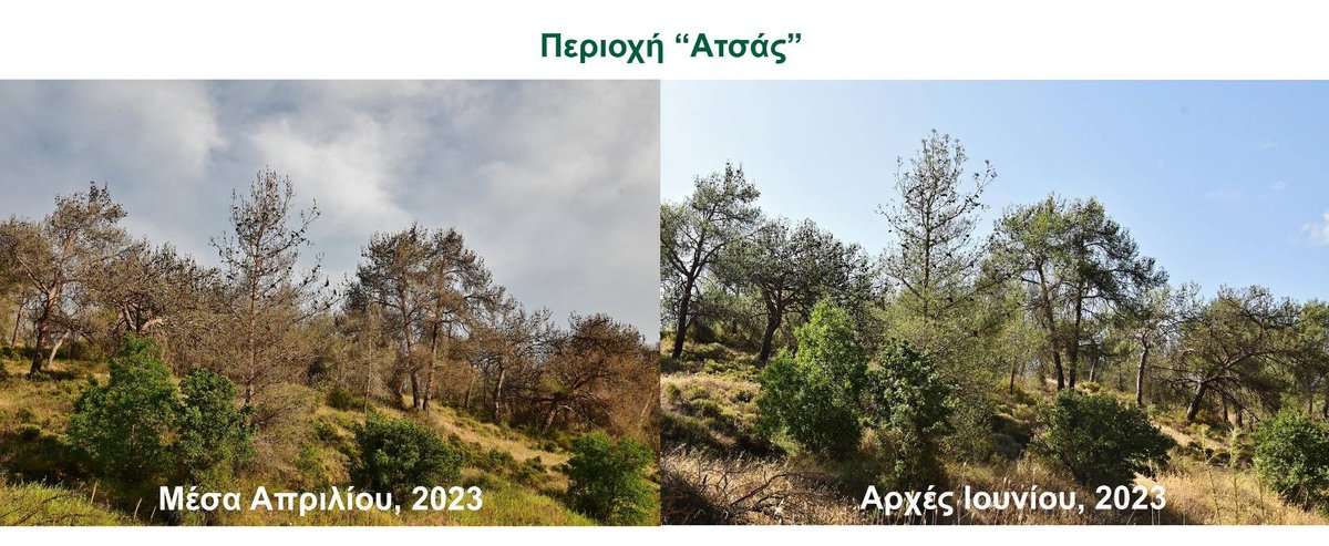 Charalambos Alexandrou tweet media