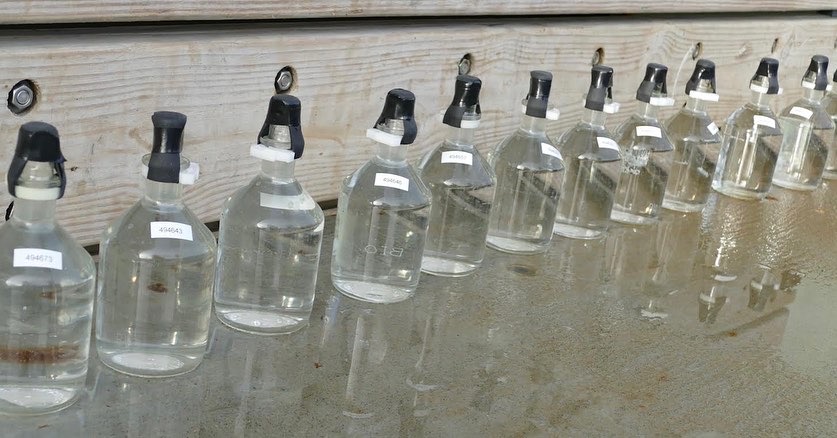 Siobhan McDonald tweet media