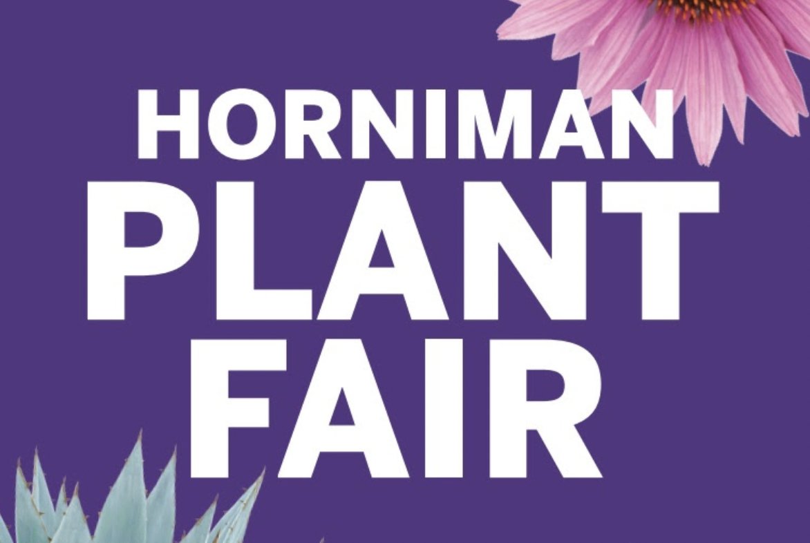 On Sat the @HornimanMuseum open its petals in its stunning corner of London. If you haven’t been before, now’s your chance - the views of the City are spectacular. nappyvalleynet.com/whats-on/#even… #plantlovers #hornimanmuseum