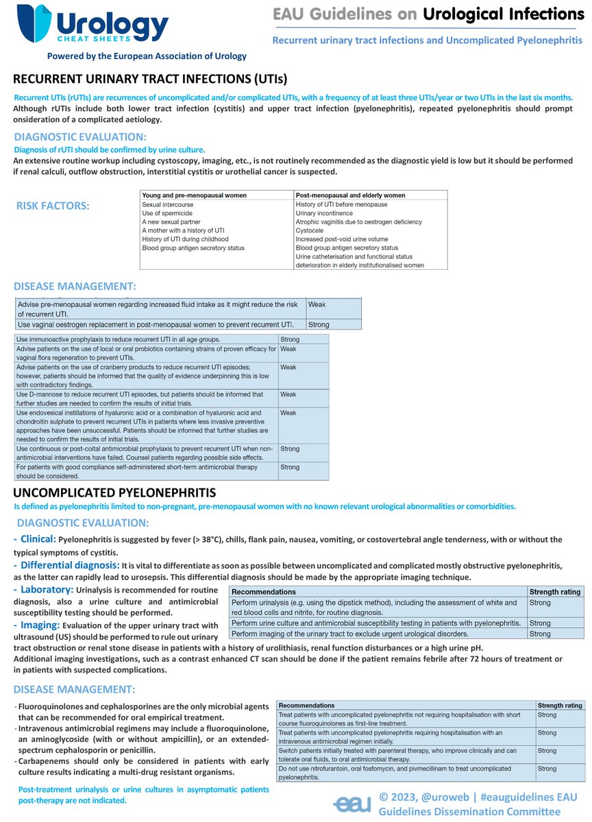Uroweb's tweet photo. ❕ Recurrent UTIs (rUTIs) include both cystitis and pyelonephritis, but repeated pyelonephritis should prompt the consideration of complicated aetiology. Review the #EAUGuidelines on #UTI with a new @CheatUrology #EAUUrologyCheatSheets:

📖 https://t.co/qGB7NUldWl https://t.co/yHXf5hAtgw