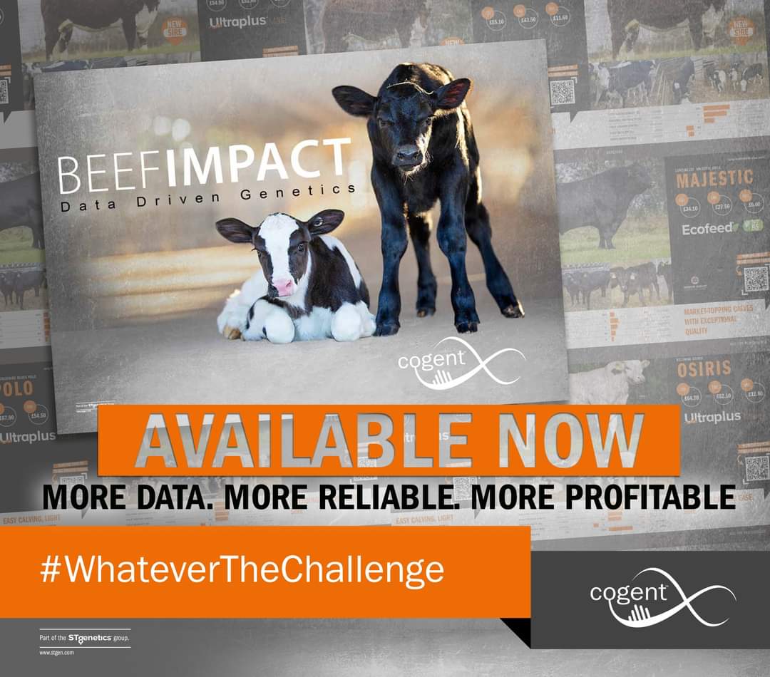 Find our NEW Beef Impact catalogue online and learn more about our latest releases! Introducing: Gogent Growth Index (CGI) PLUS find out about EcoFeed Beef! You can find the catalogue on cogentuk.com/catalogues/dow… now! #WhateverTheChallenge