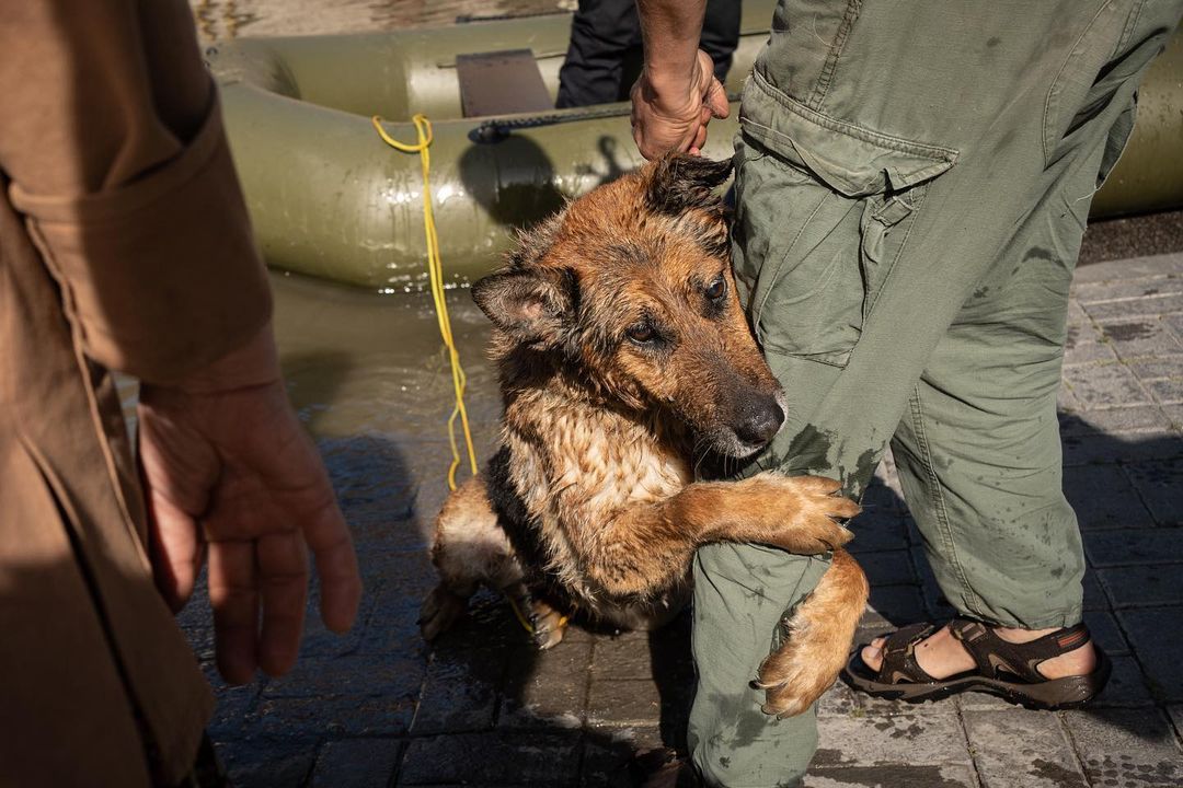 We are working at all levels of state and local authorities to rescue as many people as possible from the flooded areas. The evacuation is ongoing. Wherever we can get people out of the flood zone, we do so. The State Emergency Service, police and military are doing a great job!…