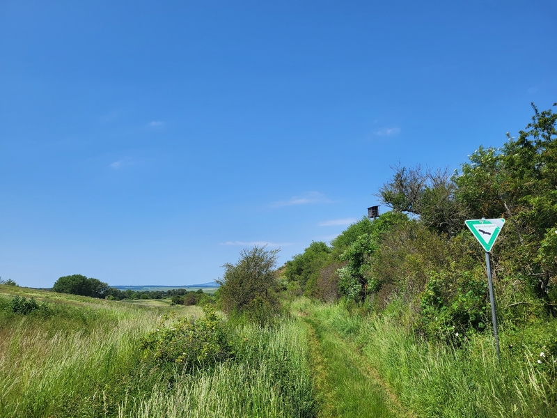 gipfelwelt's tweet photo. Die Hiwweltour Aulheimer Tal ist die längste der Hiwweltouren. Dennoch geht es gemütlich zu und sie führt abwechslungsreich durch die "rheinhessische Schweiz". #Tour #Bloggerwandern #Flonheim #Gipfelwelt #Hiwweltour #MeinRheinhessen #Rheinhessen https://t.co/QRBKYaMSnN https://t.co/ivB0LVDKli