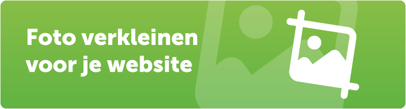 PoiterDesign's tweet photo. Lees nu ons eerste blog over hoe je een afbeelding kunt verkleinen voor je website! 

https://t.co/yY2V1FMjPX https://t.co/WhhgBNf1W9