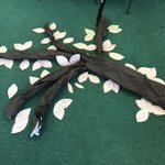 Photo by Hawthorn Primary RCT (@HawthornPrimary)