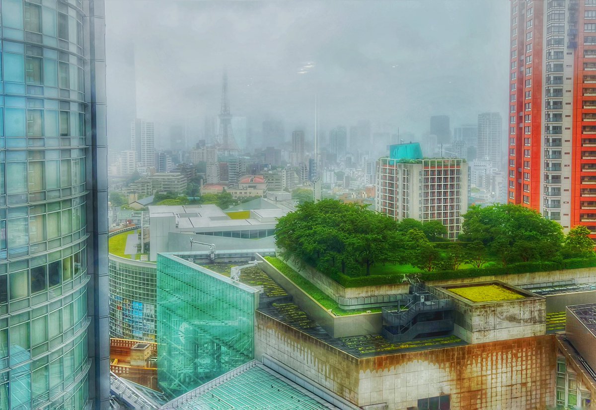 窓から遠く見える街並みはすっかり雨に霞んでしまって、
東京タワーも高層ビルも不可視の世界。

もやもやした天気はさておいて、
どこか晴れやかな曖昧。
そんな気持ちでそろそろチェックアウト。

20周年のこのホテル。
いつ来てもやはり素晴らしいですね😊

#グランドハイアット東京
#grandhyatt