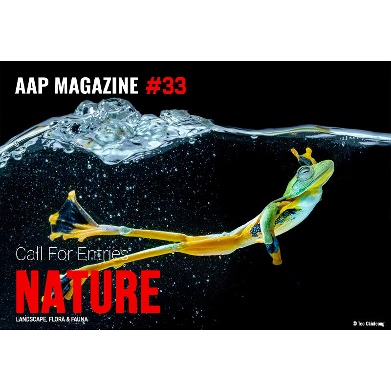 AAP Magazine #33 Nature
reflexlist.com/concorso-fotog…
#photocontest #concorsofotografico @allaboutphotoco