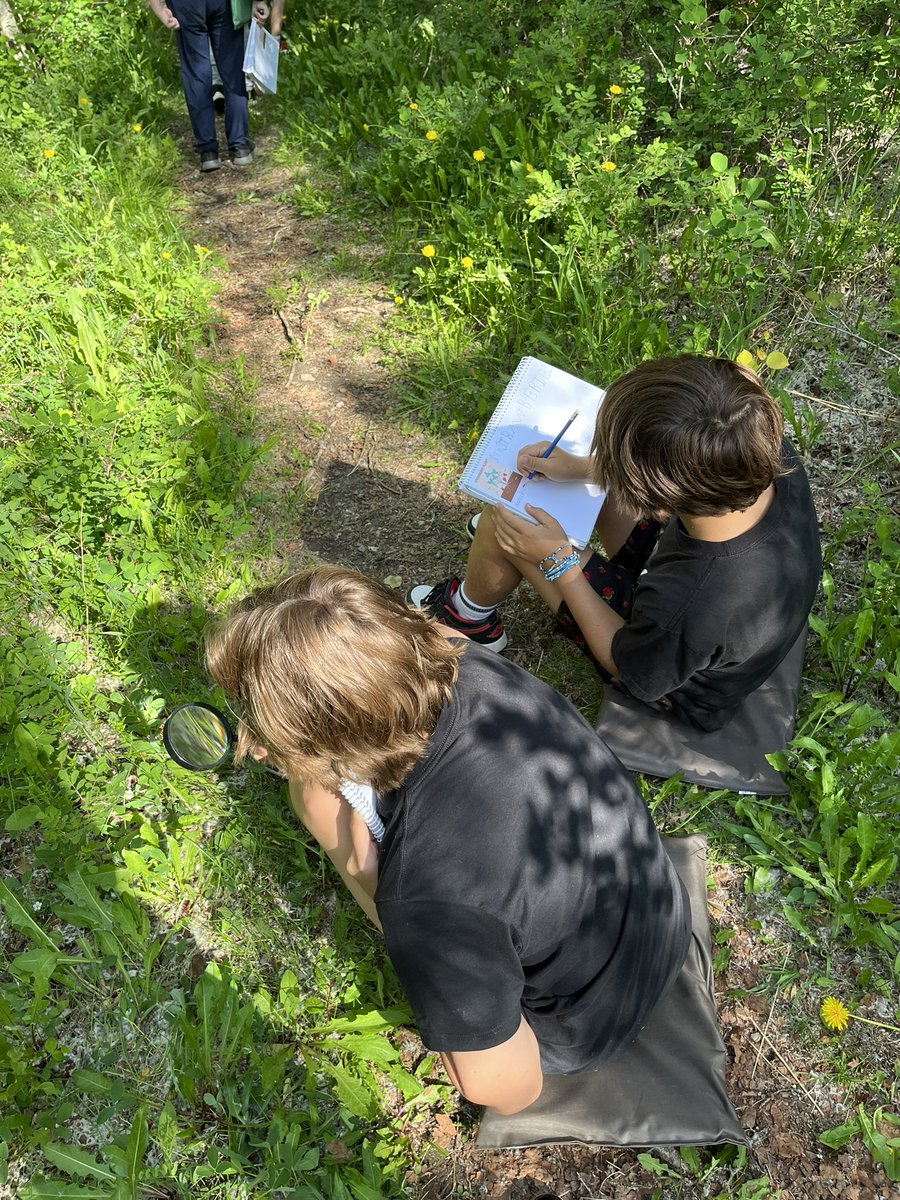 Mrs.Olson tweet media