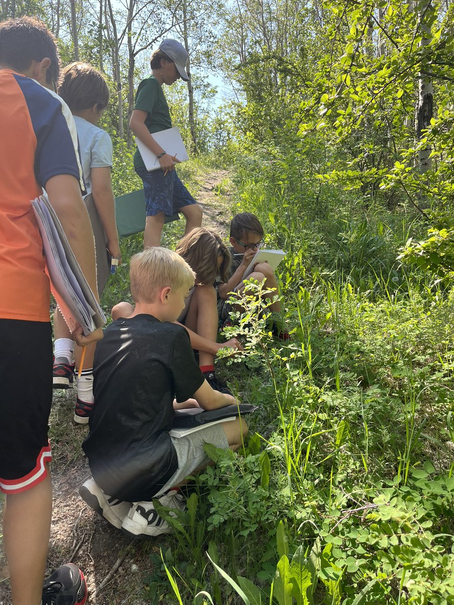 Mrs.Olson tweet media