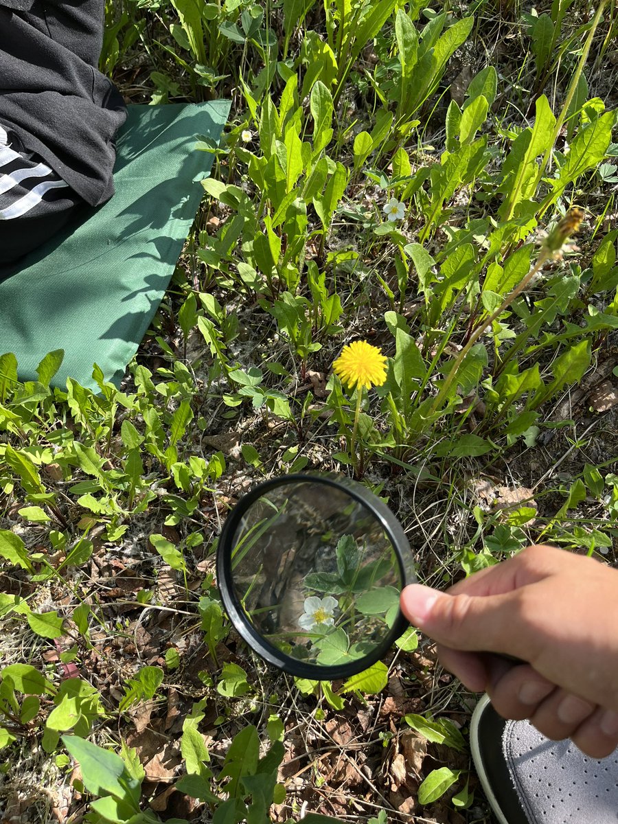 Mrs.Olson tweet media