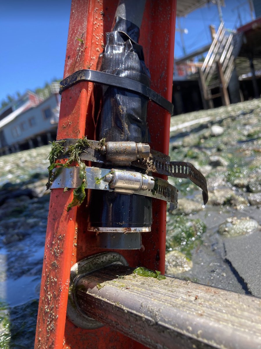 Happy World Oceans Day and Happy #WOPAM day! We have recently deployed more cabled hydrophones to help #listen for endangered #orcas &amp; #noise -- a new node in north San Juan Channel, &amp; replacement hardware in Haro Strait &amp; Sunset Bay in #PugetSound. 
#opensource #opendata