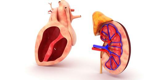 Heart-alone transplant recipients with pre-existing #kidney impairment have “unacceptably high” risks of progressing to end-stage kidney disease (ESKD) requiring renal replacement therapy and dying. talkabouturology.net/news_renalandu…