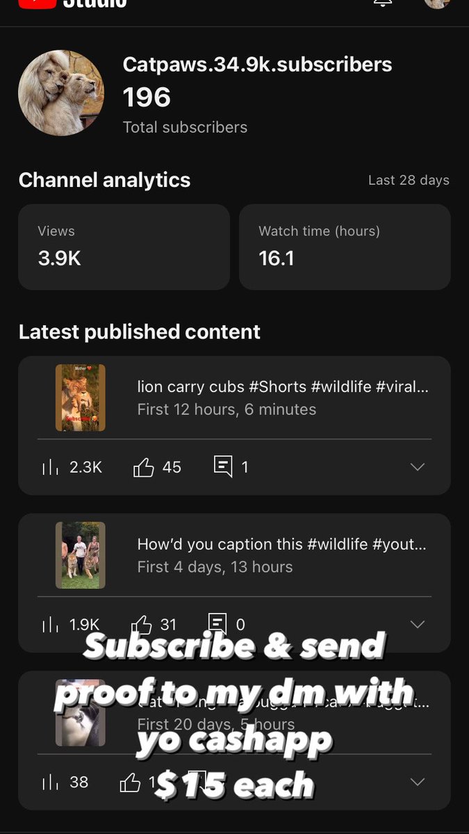 Catsvlog2's tweet photo. GIVEAWAY⚠️
Subscribes to new channel my old  YouTube was hacked ….send a proof of payment request $KimmyAshley Name on cashtag kimmy Baker. https://t.co/YxvwYk5bVM