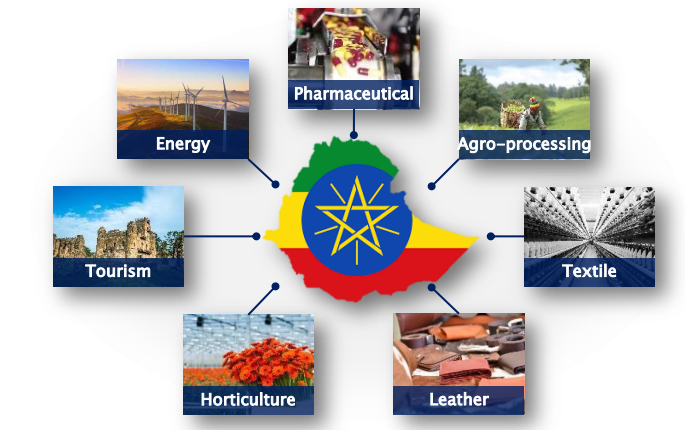 abdurohmankib's tweet photo. History has change its self‼Ethiopia had produced 1.6 million metric tons of wheat in 2023. #Ethiopia becomes an exporter of wheat for neighboring countries.#Fast_Growing_Ethiopia #HardWorking_Hands  @AJEnglish @BBCAfrica  @UN @UNHumanRights https://t.co/ClqSq8gOzE