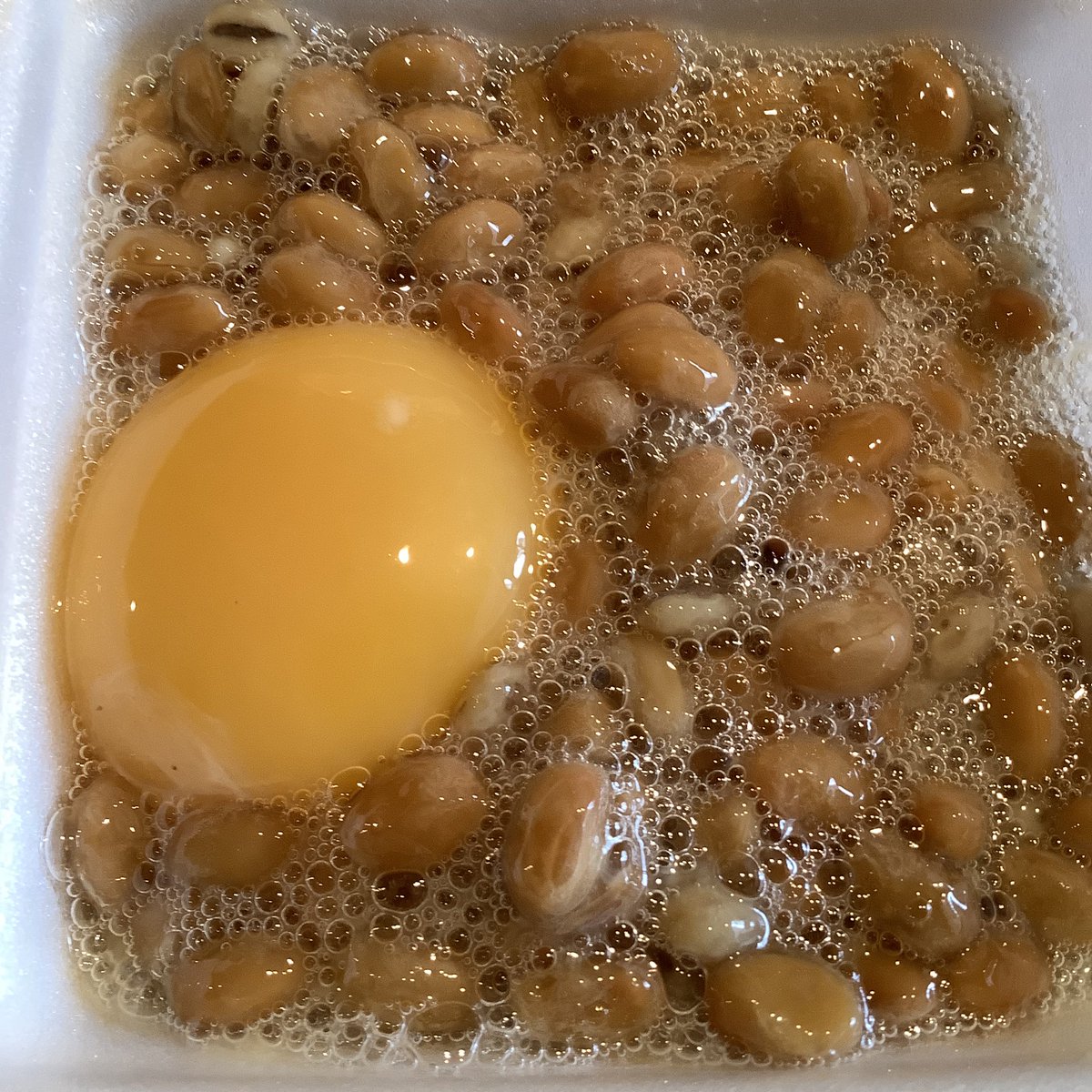 unosuke_tokyo's tweet photo. 昨日大好きな納豆を食べて、納豆愛バクハツっ‼️
今日は大好物の卵かけ納豆‼️
コレさえあればだいぶ凌げるくらい、大好物‼️
大理想平飼い秋田比内地鶏の卵と
金砂郷食品の麦入り納豆で
あぁぁ〜
おらぁシャァワセだよぅぅ〜😆
#納豆大好き
#納豆
#おいしい卵
#うのすけ
#unosuke https://t.co/gNldXqOrAG