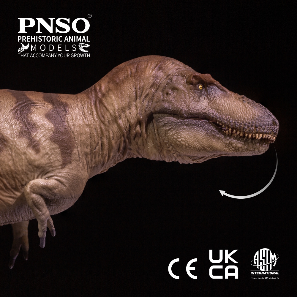 New Release | Cole the Daspletosaurus from the PNSO Prehistoric Animal Models series will be available in PNSO official online stores soon. 
-
#pnso #dinosaur #prehistoric #animals #earth #models #art #toy #scientificart #collectable #paloart #nature #pnsomodel #pnsodinosaur