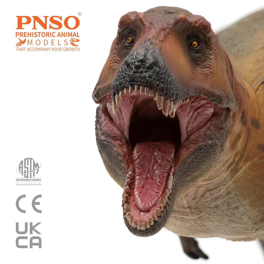 New Release | Keynes the Lythronax from the PNSO Prehistoric Animal Models series will be available in PNSO official online stores soon. 
-
#pnso #dinosaur #prehistoric #animals #earth #models #art #toy #scientificart #collectable #paloart #nature #pnsomodel #pnsodinosaur