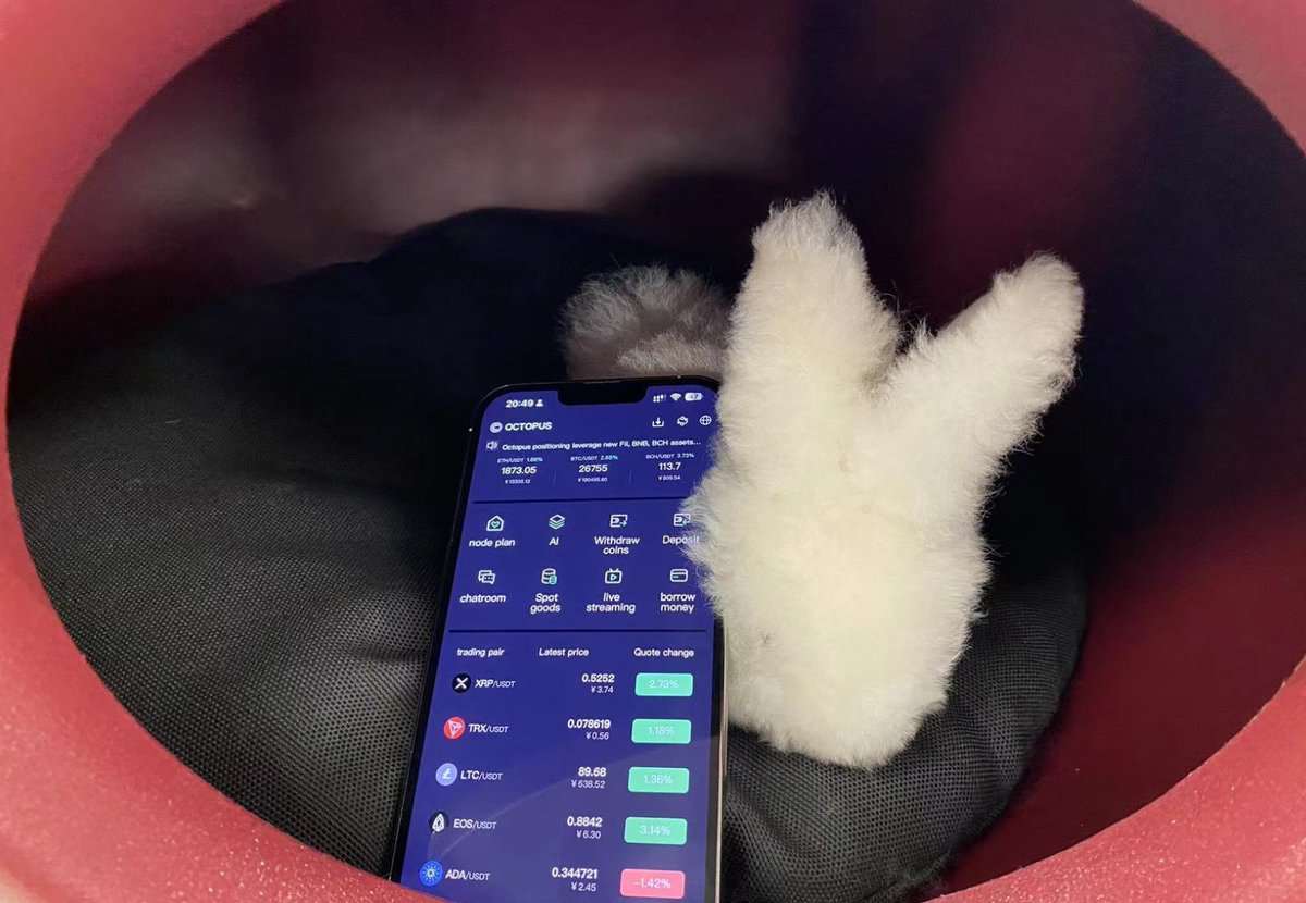 Octopus__Global's tweet image. Even bunnies are hopping on board with Octopus app! 🐰💻 Enjoy the benefits of AI trading and a user-friendly interface, making trading easier than ever. Join the Octopus community today! 🌊🚀 #OctopusApp #AItrading #EasyToUseInterface