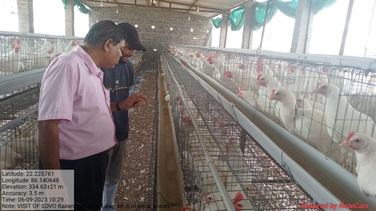 sjena3032's tweet photo. Visit of #SDVO Rairangpur to a Layer unit of Rairangapur Block and discussed with the #farmer and assured all technical support from #ARD Department.
@rajaaswain 
@farddept 
@dahvsodisha https://t.co/W8WkfSO0fn