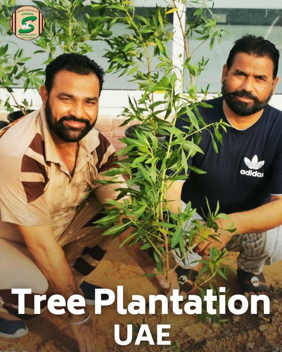 GreenSwelfares's tweet photo. Bravo to the Shah Satnam Ji Green 'S' Welfare Force Wing volunteers in the UAE for celebrating #WorldEnvironmentDay in the most meaningful way - by planting trees! 🌍🌳🇦🇪 Their efforts are a tribute to our shared responsibility towards Mother Earth. Let's join them in this cause!  #TreePlantation