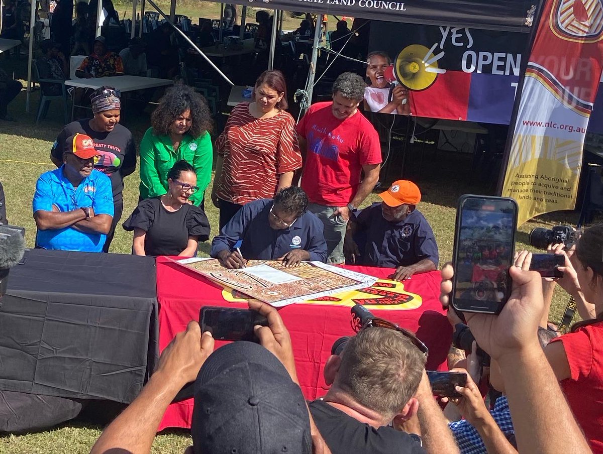 Thomas Mayo tweet media