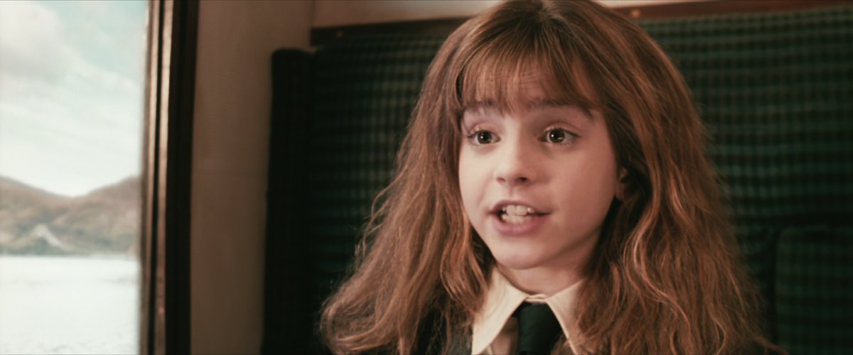 'Holy cricket! You're Harry Potter! I'm Hermione Granger.'