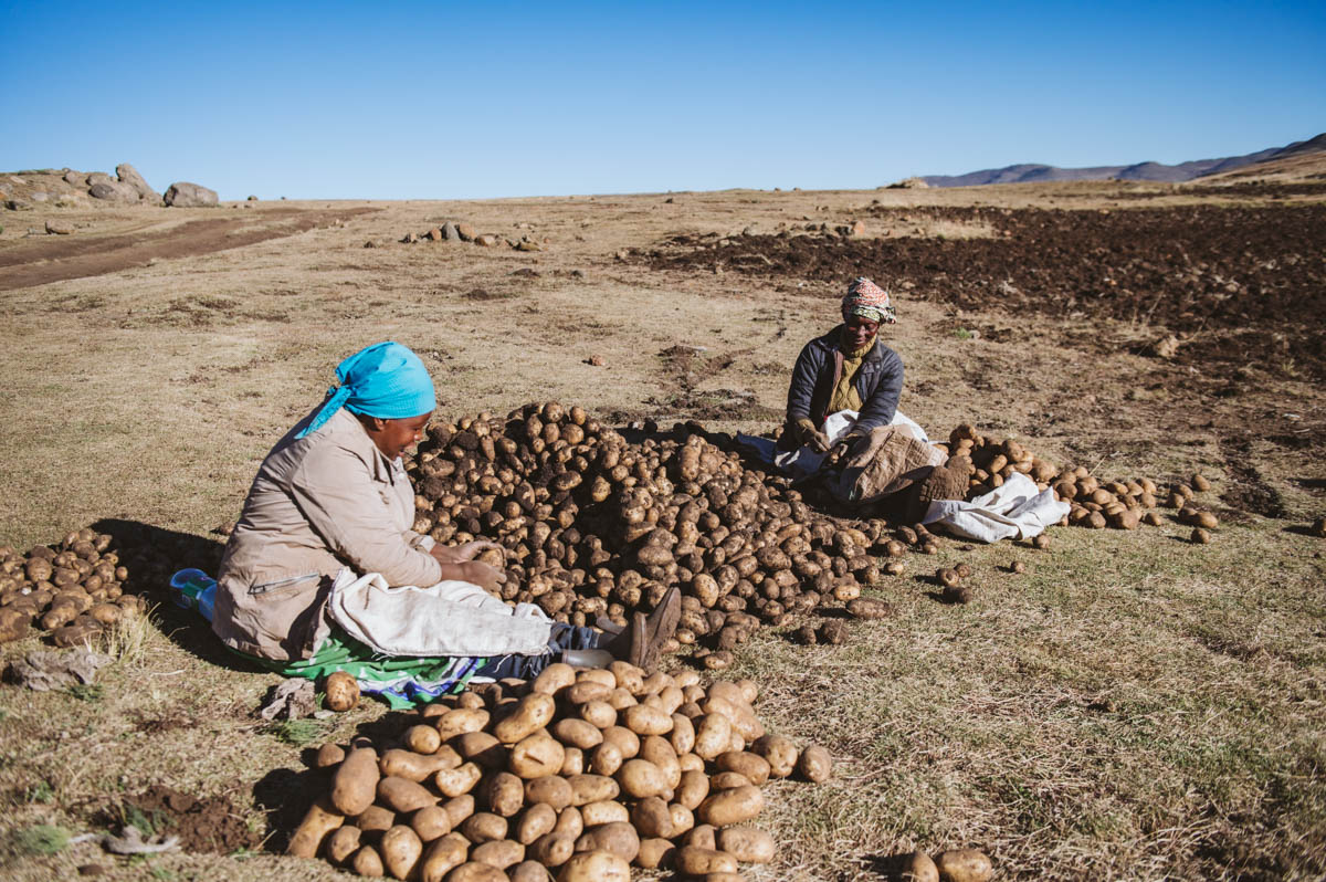 By supporting local farmers and embracing sustainable practices, we ensure each bite is bursting with farm-to-table goodness.

📷 <a href="/CaseyPrattPhoto/">Casey_Pratt</a>  // <a href="/loveAfrica_/">Love Africa Marketing</a>