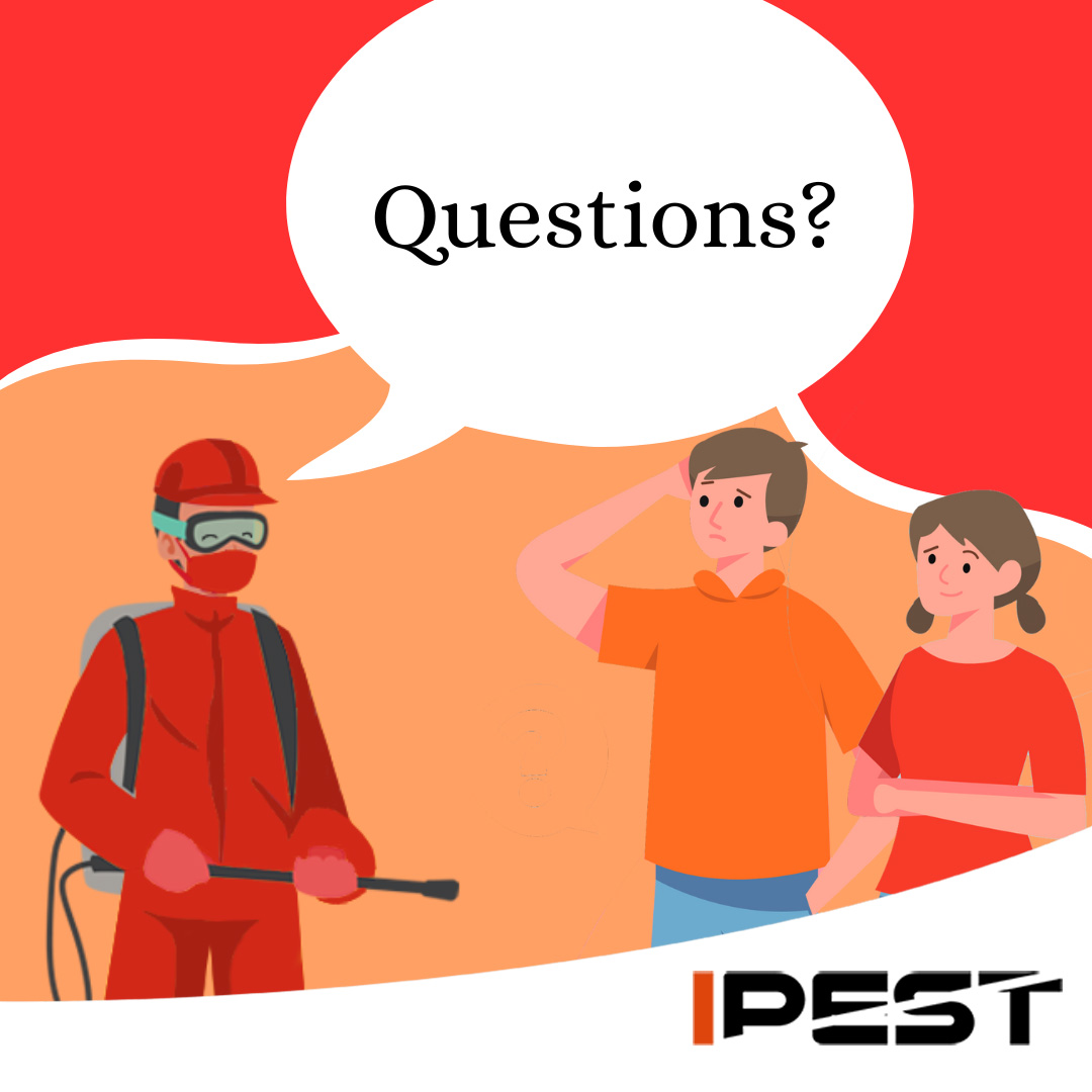 Have a pest question? Ask away!

Our knowledgeable team is here to provide you with expert advice and solutions. 🐜❓🤔

#AskTheExperts #PestControlTips #iPestManagement