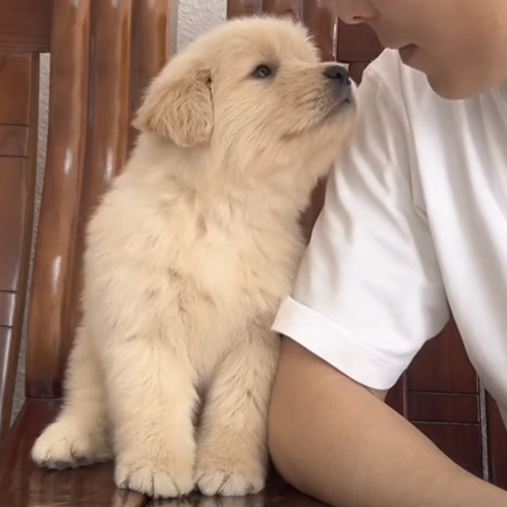 หนุไม่ได้กิมน้ำส้วมจิงๆนะพ่อ