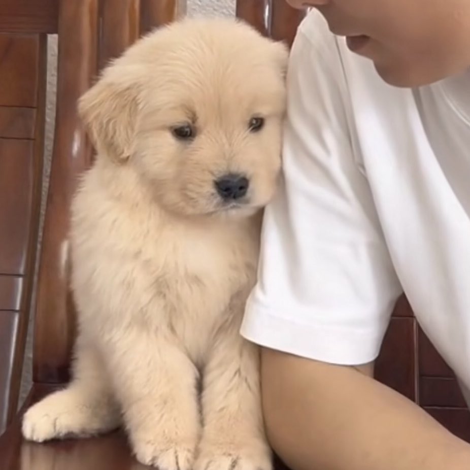 takemybear 🐶 tweet media